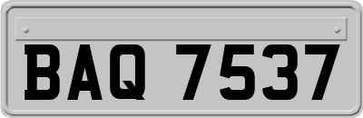 BAQ7537