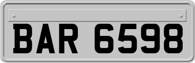 BAR6598