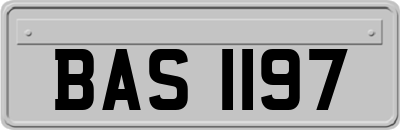 BAS1197