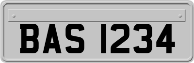BAS1234