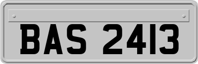 BAS2413