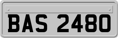 BAS2480