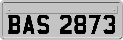 BAS2873