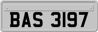 BAS3197