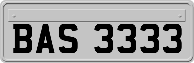 BAS3333