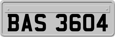 BAS3604