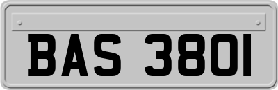 BAS3801