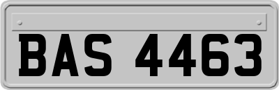 BAS4463