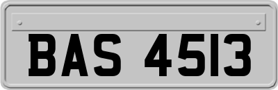 BAS4513