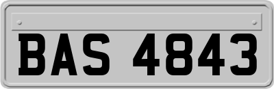 BAS4843