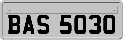BAS5030