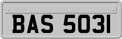 BAS5031