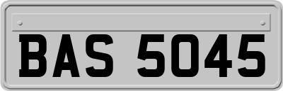 BAS5045