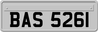 BAS5261