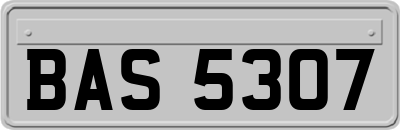 BAS5307