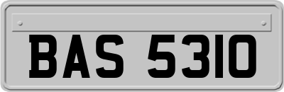 BAS5310