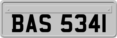 BAS5341