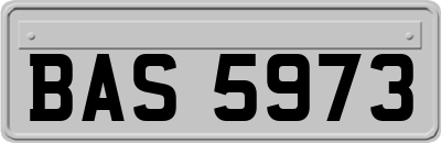 BAS5973