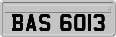 BAS6013