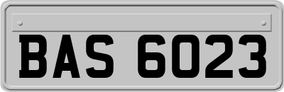 BAS6023