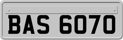BAS6070