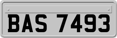 BAS7493