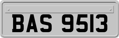 BAS9513