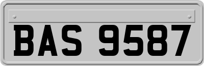 BAS9587
