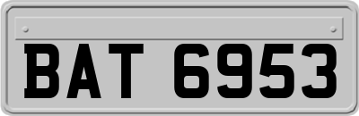 BAT6953