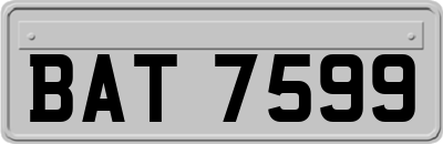 BAT7599