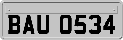 BAU0534