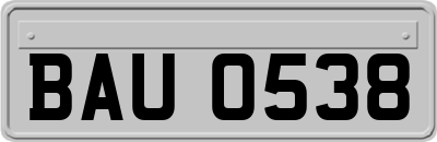BAU0538