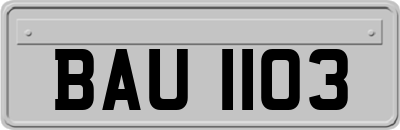 BAU1103