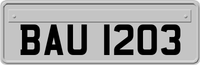 BAU1203