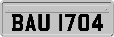 BAU1704