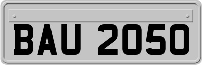 BAU2050