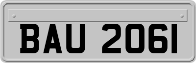BAU2061