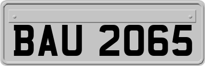 BAU2065