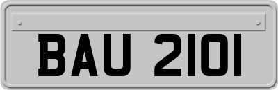 BAU2101
