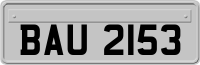 BAU2153