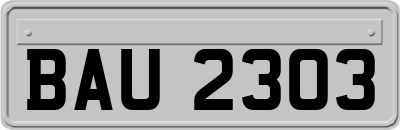 BAU2303