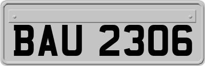 BAU2306