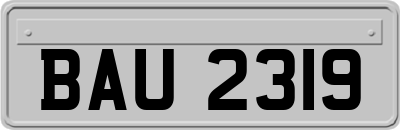 BAU2319