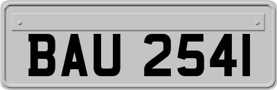 BAU2541