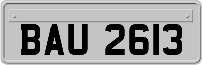 BAU2613
