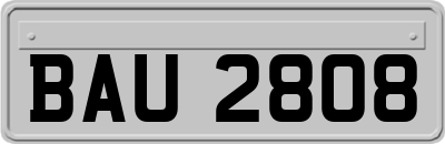 BAU2808