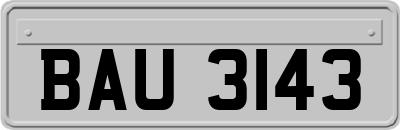 BAU3143