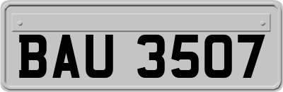 BAU3507