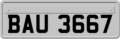 BAU3667