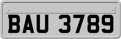 BAU3789
